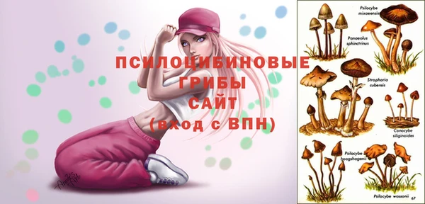 дживик Армянск