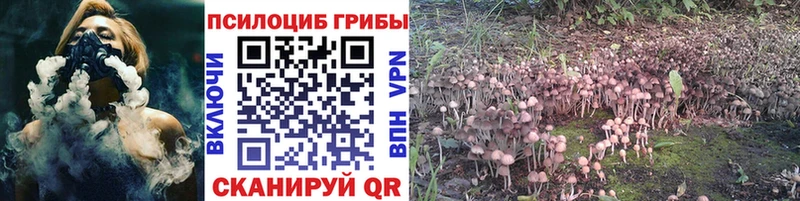 Галлюциногенные грибы Magic Shrooms  Облучье 